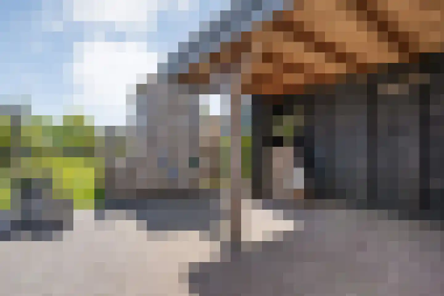 Mr. Harm Smeengestraat 17 Ruinen thumbnail 35