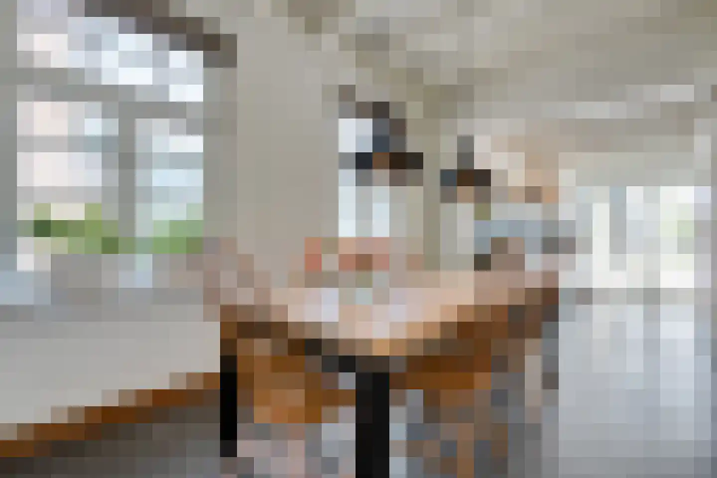 Mr. Harm Smeengestraat 17 Ruinen thumbnail 4