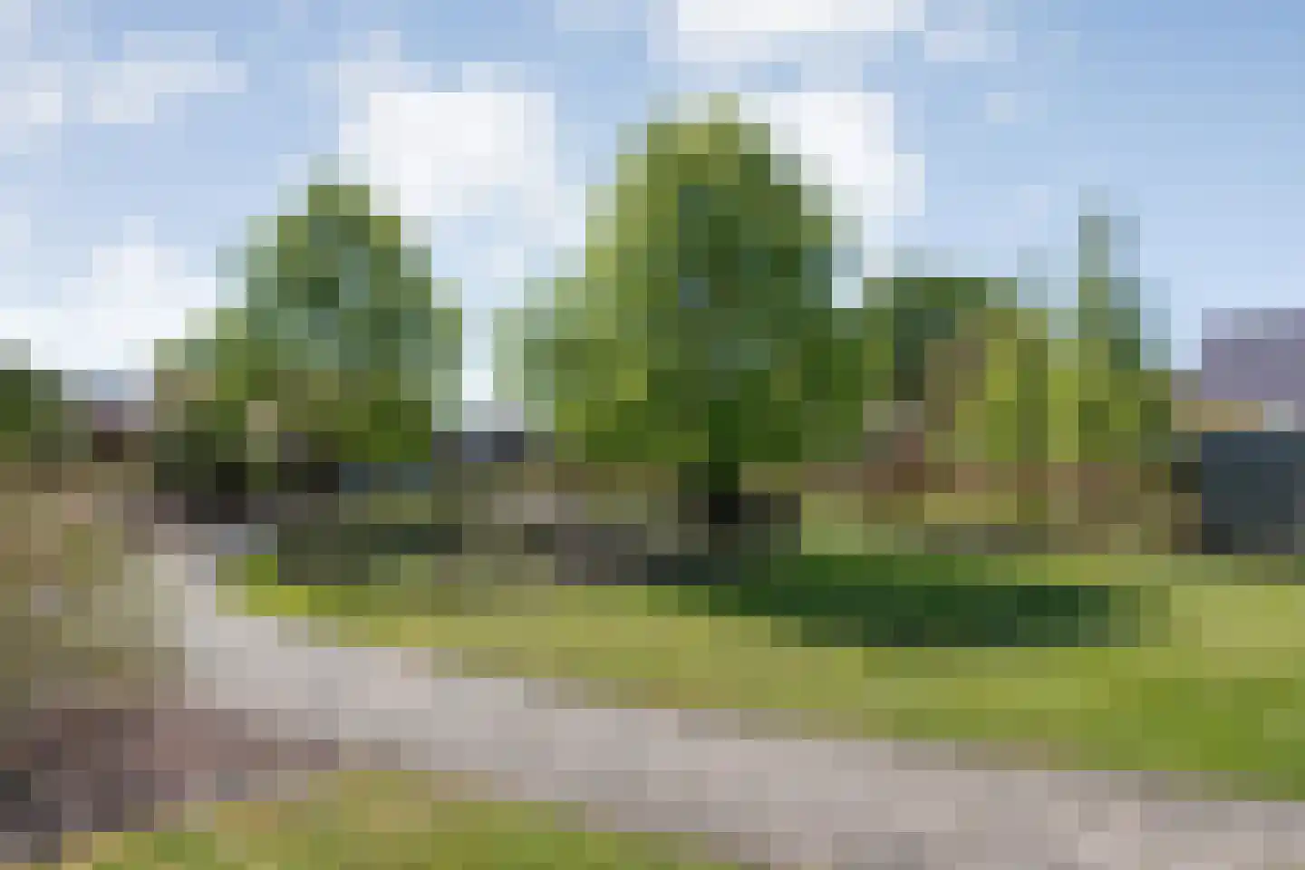 Mr. Harm Smeengestraat 17 Ruinen thumbnail 44
