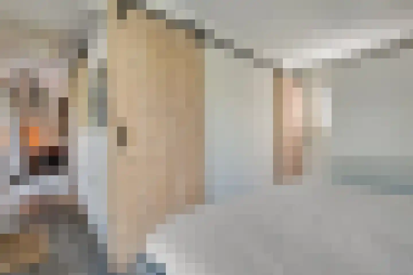 Mr. Harm Smeengestraat 17 Ruinen thumbnail 52