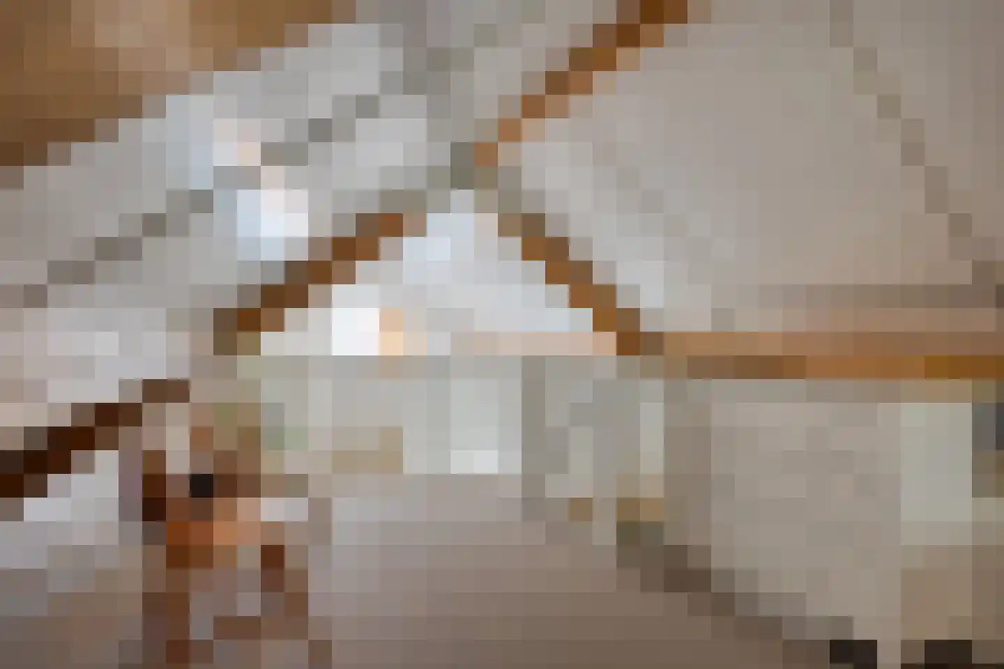 Mr. Harm Smeengestraat 17 Ruinen thumbnail 61