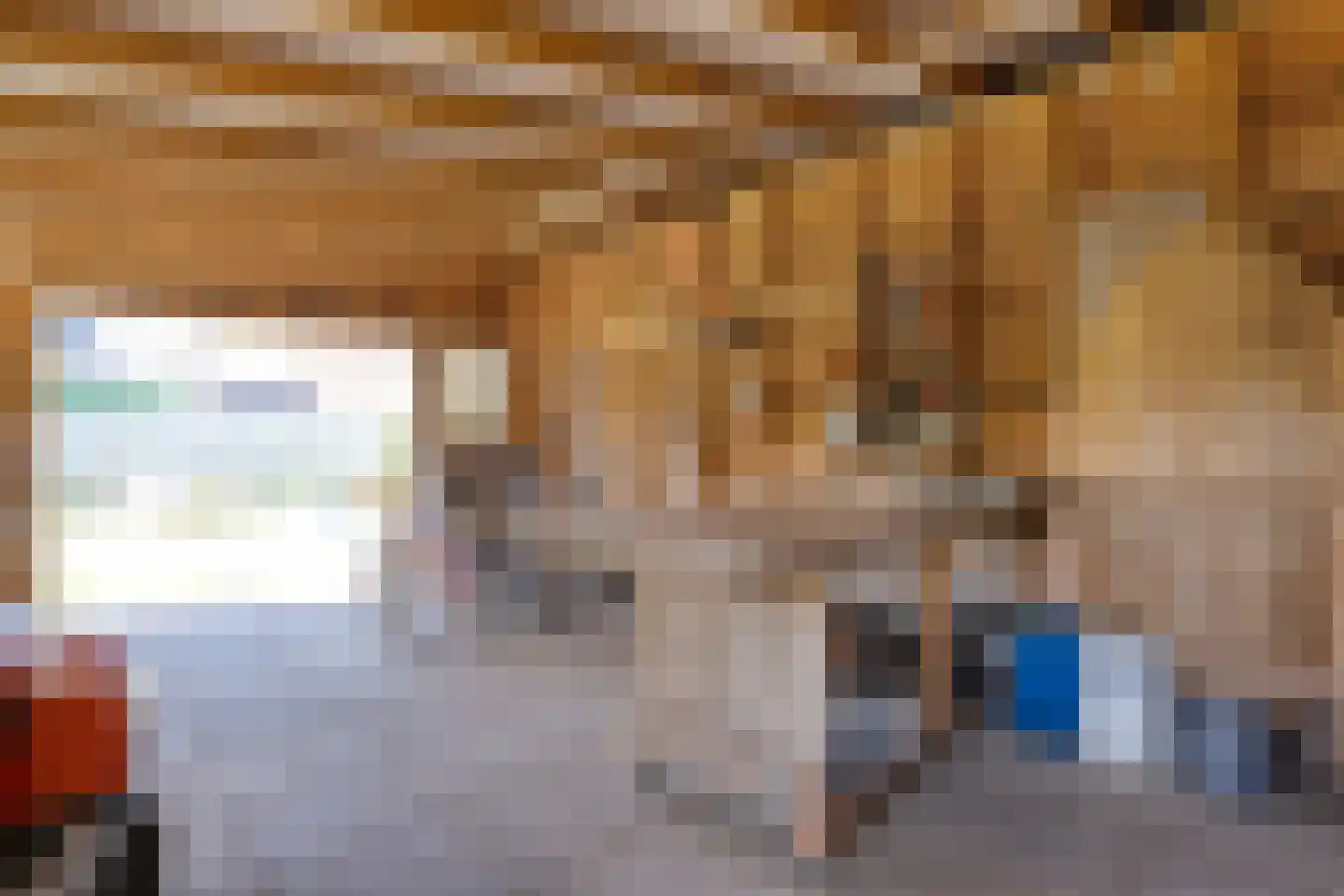 Mr. Harm Smeengestraat 17 Ruinen thumbnail 63