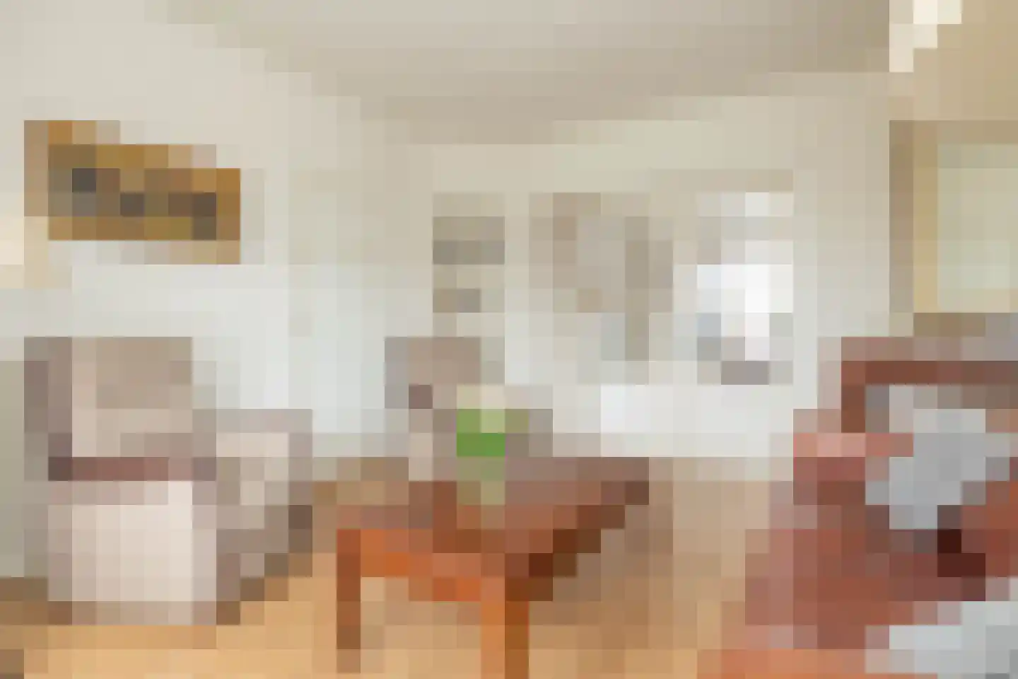 Mr. Harm Smeengestraat 19 Ruinen thumbnail 12