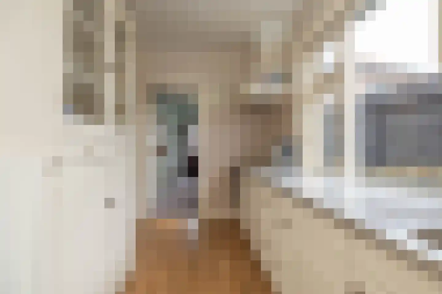 Mr. Harm Smeengestraat 19 Ruinen thumbnail 20