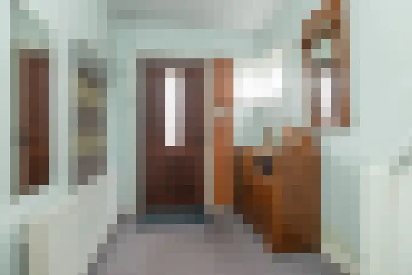 Mr. Harm Smeengestraat 19 Ruinen thumbnail 30