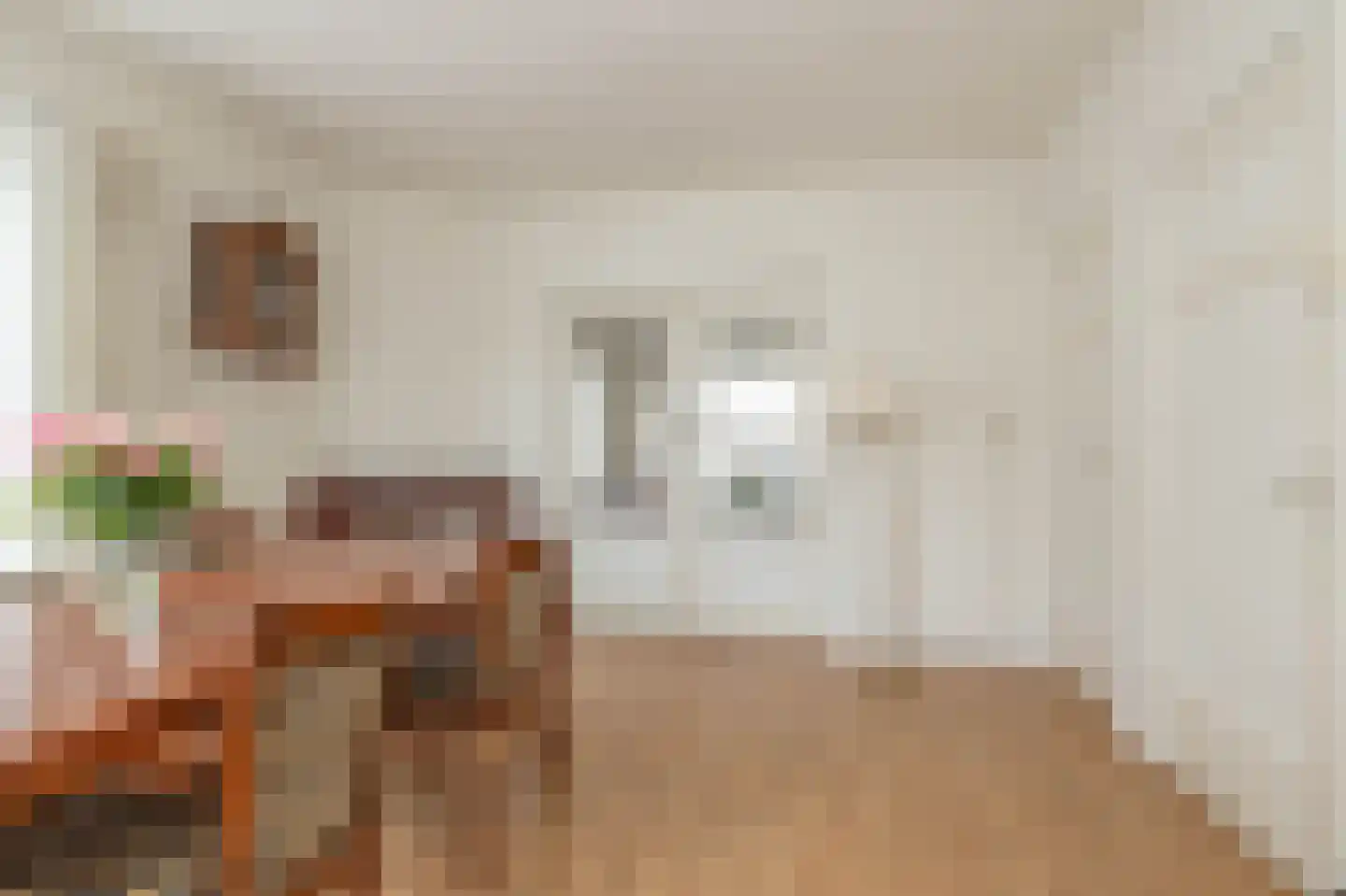 Mr. Harm Smeengestraat 19 Ruinen thumbnail 4