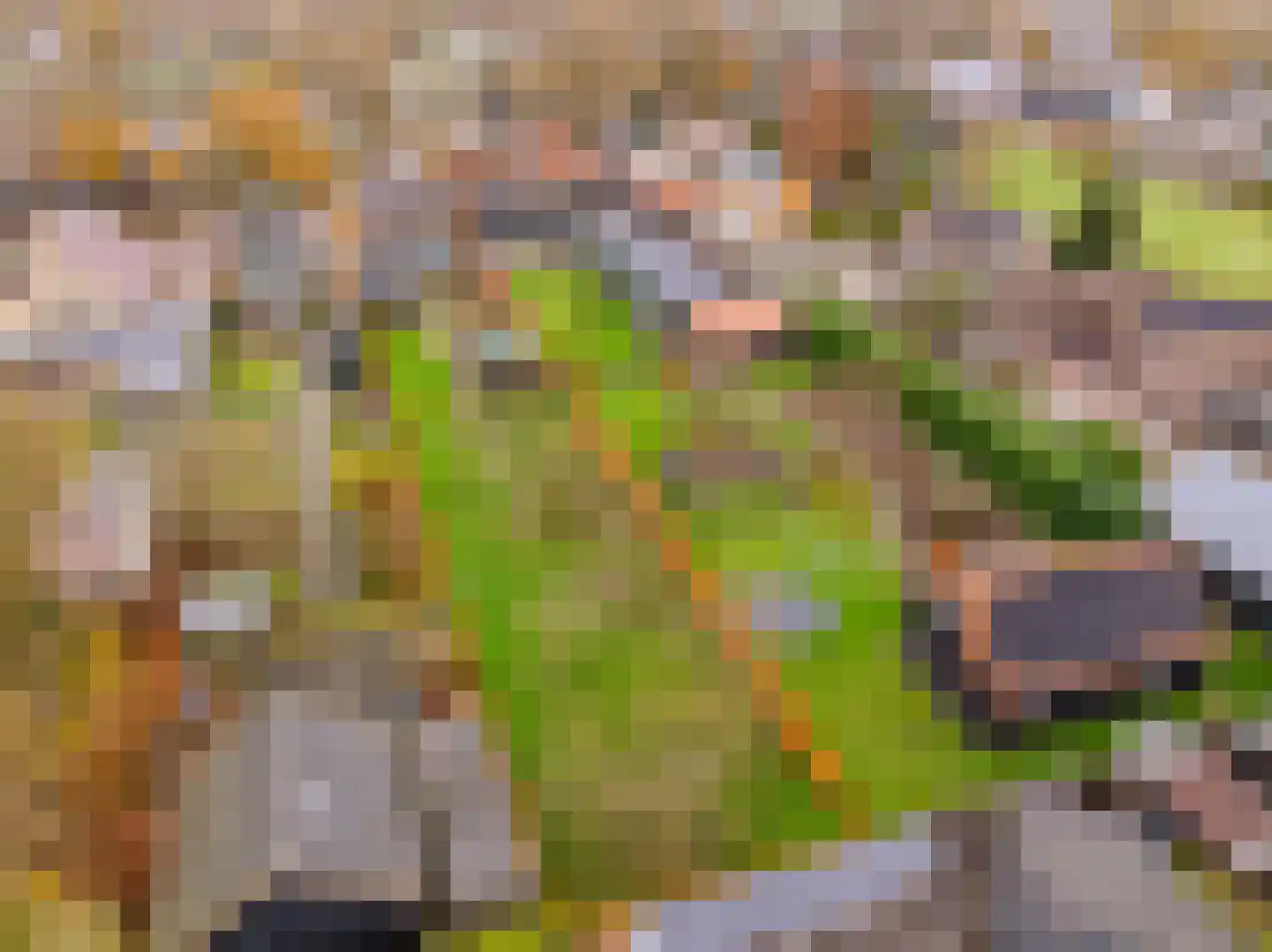 Mr. Harm Smeengestraat 19 Ruinen thumbnail 43