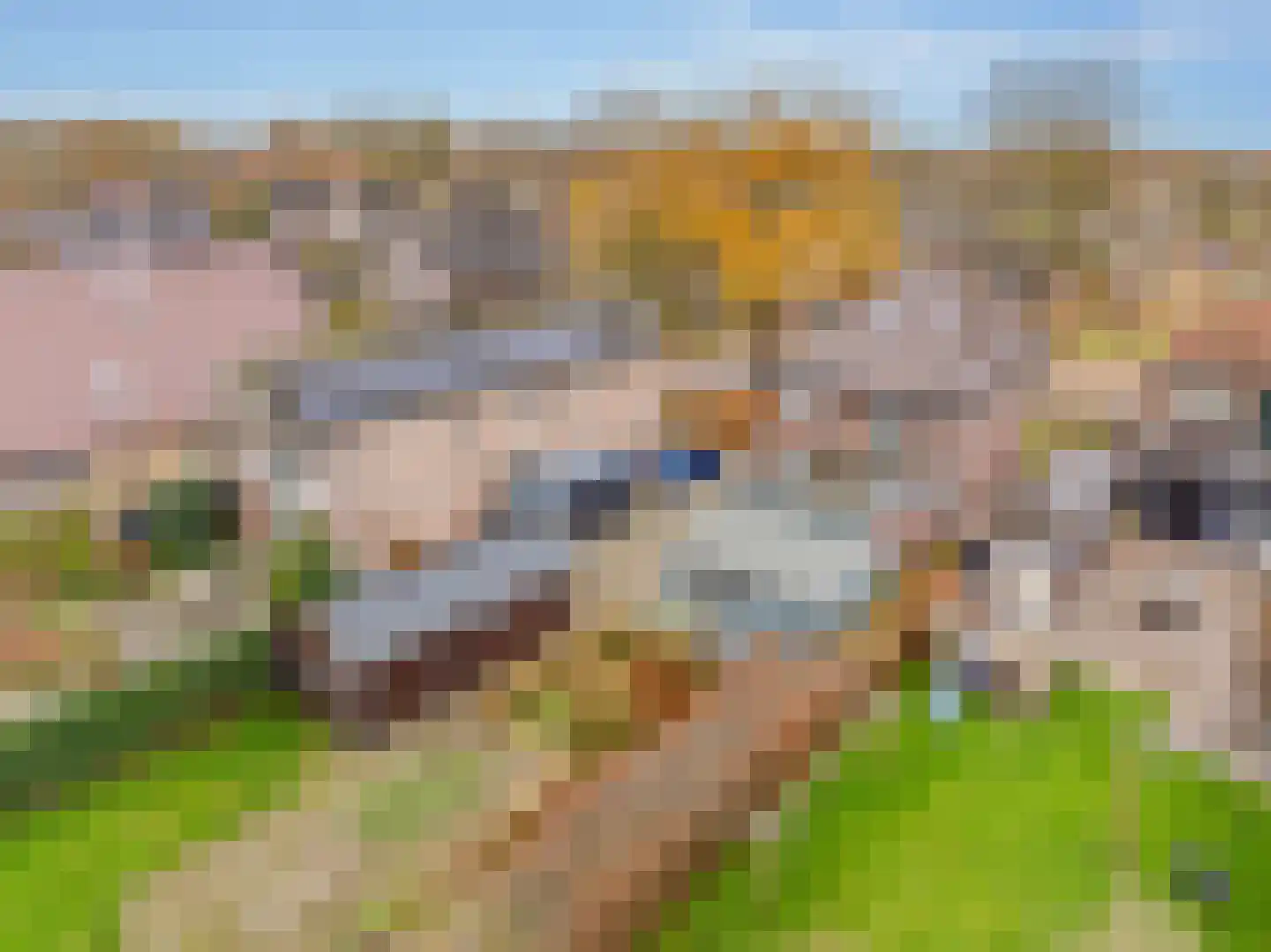 Mr. Harm Smeengestraat 19 Ruinen thumbnail 44