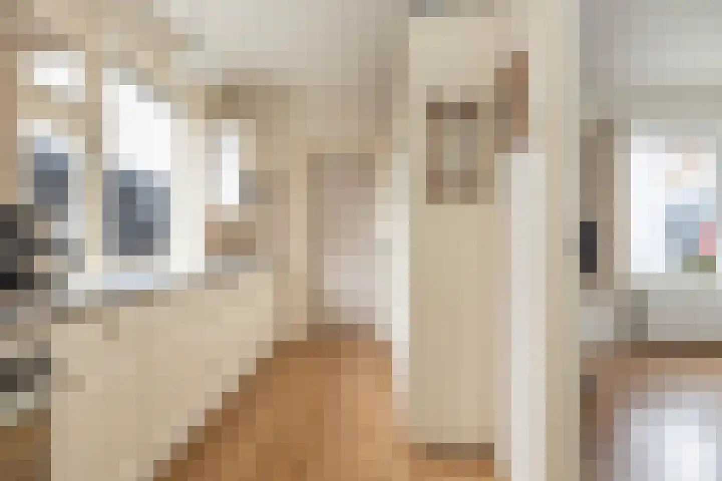 Mr. Harm Smeengestraat 19 Ruinen thumbnail 5