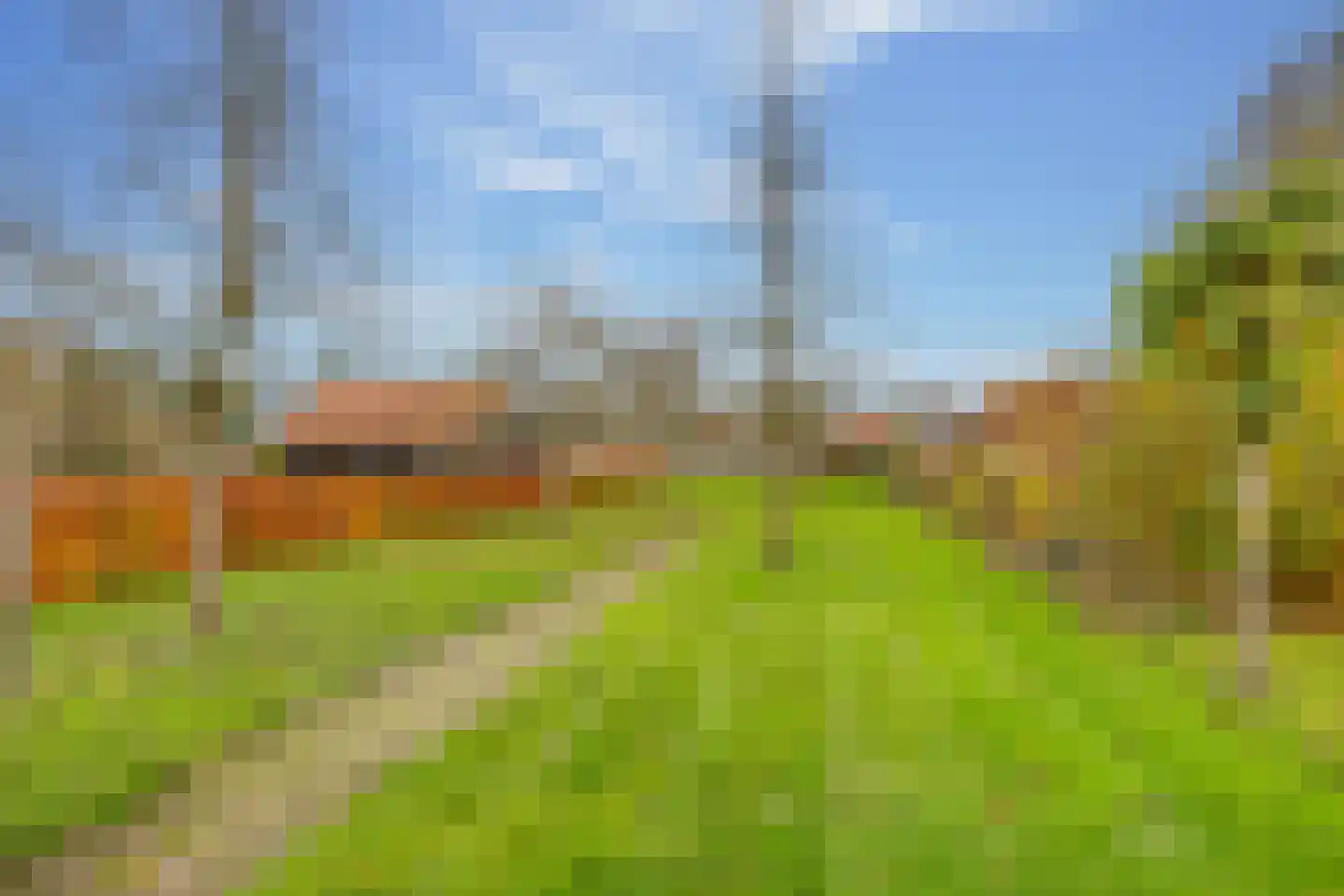 Mr. Harm Smeengestraat 19 Ruinen thumbnail 51