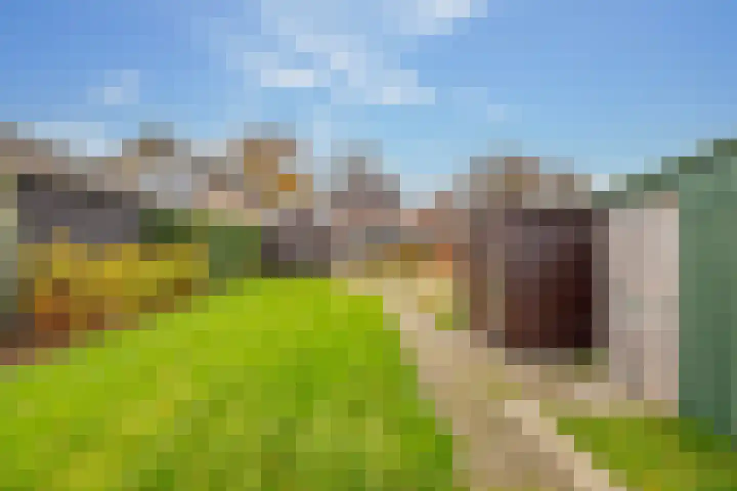 Mr. Harm Smeengestraat 19 Ruinen thumbnail 53