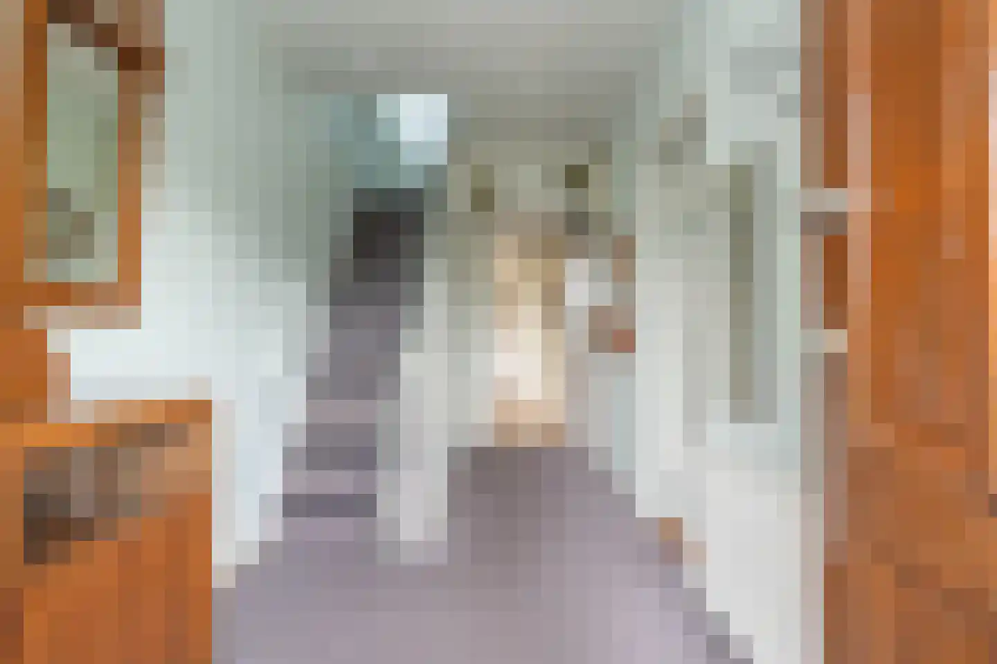 Mr. Harm Smeengestraat 19 Ruinen thumbnail 8