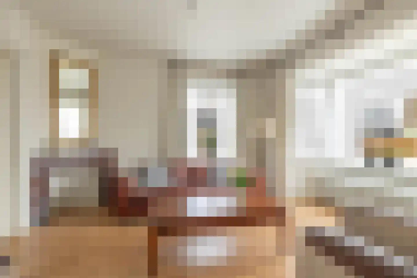 Mr. Harm Smeengestraat 19 Ruinen thumbnail 9