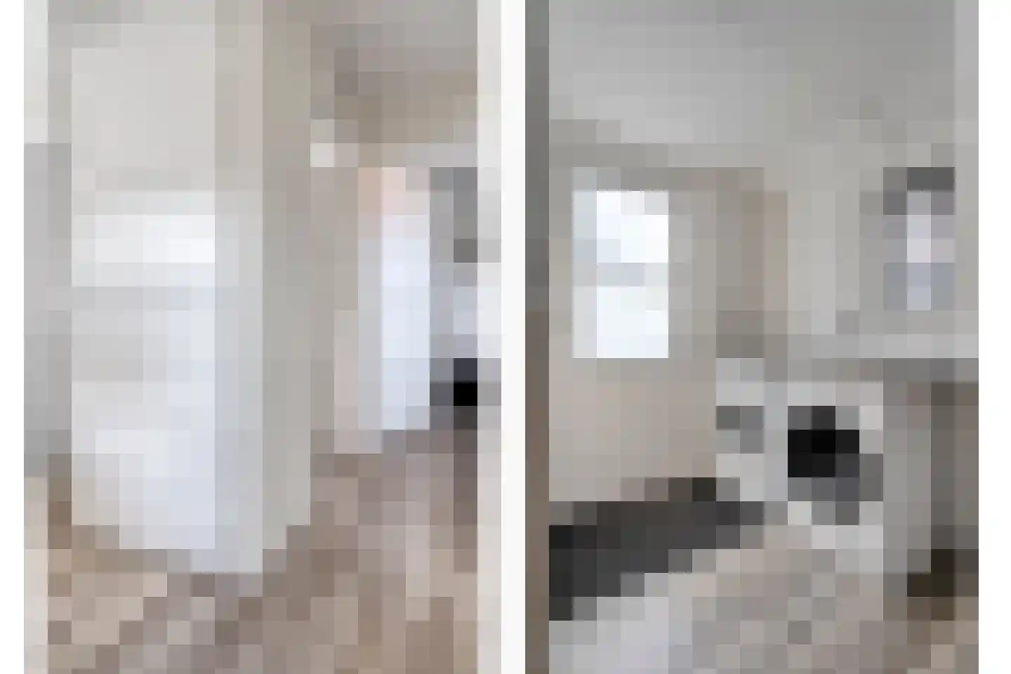 Mr. Harm Smeengeweg 16 Koekange thumbnail 13