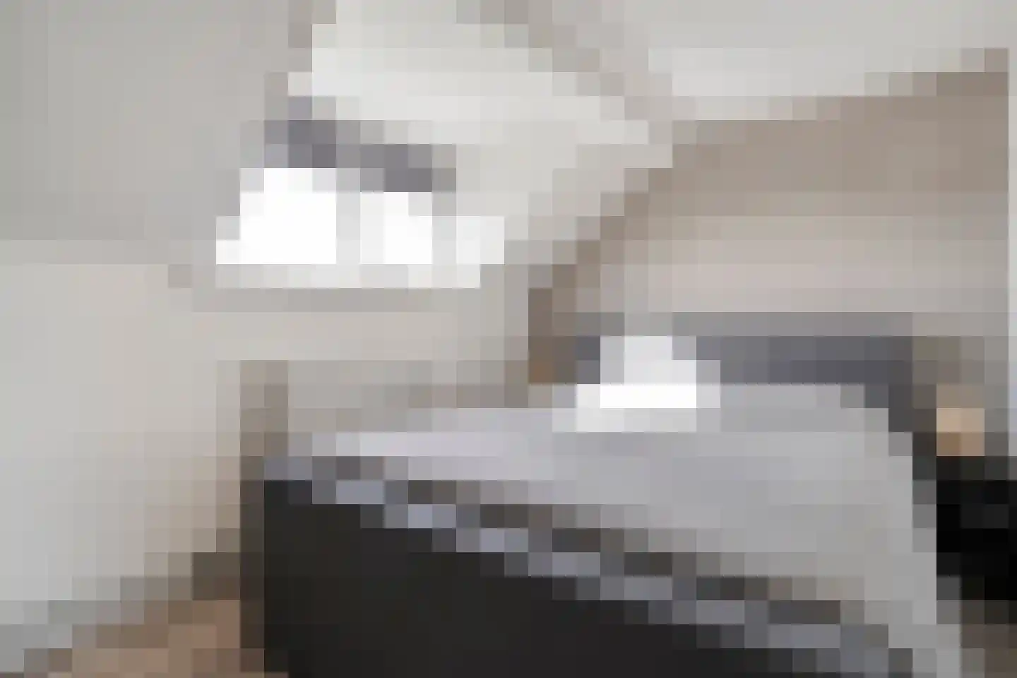 Mr. Harm Smeengeweg 16 Koekange thumbnail 18