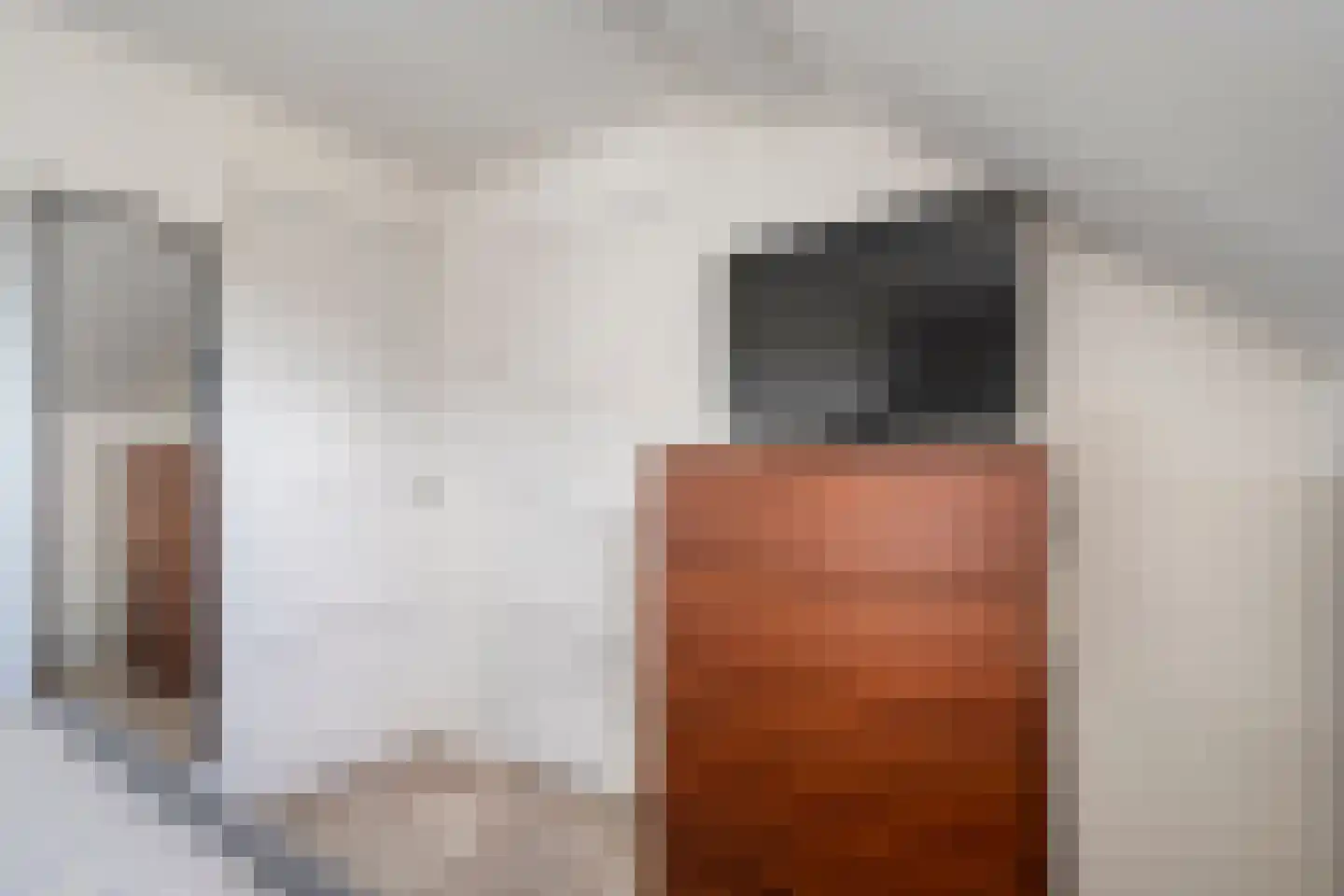 Mr. Harm Smeengeweg 16 Koekange thumbnail 19