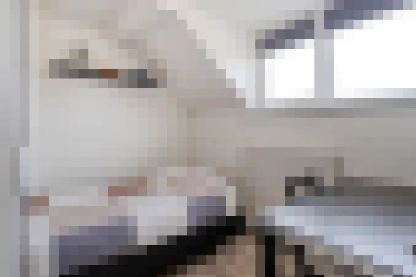 Mr. Harm Smeengeweg 16 Koekange thumbnail 20