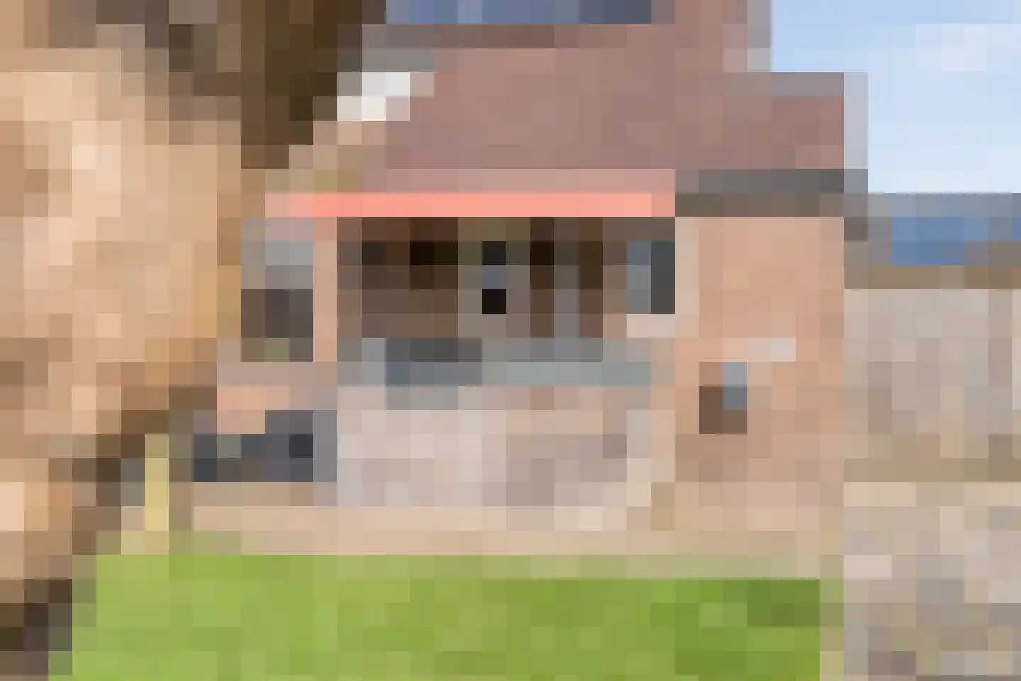 Mr. Harm Smeengeweg 16 Koekange thumbnail 28