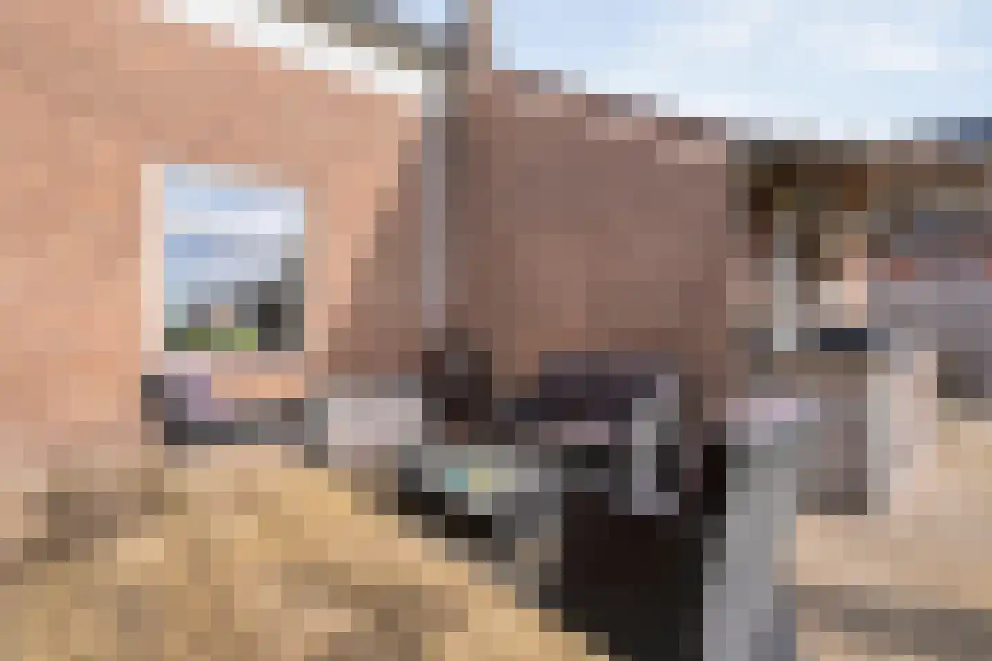 Mr. Harm Smeengeweg 16 Koekange thumbnail 29