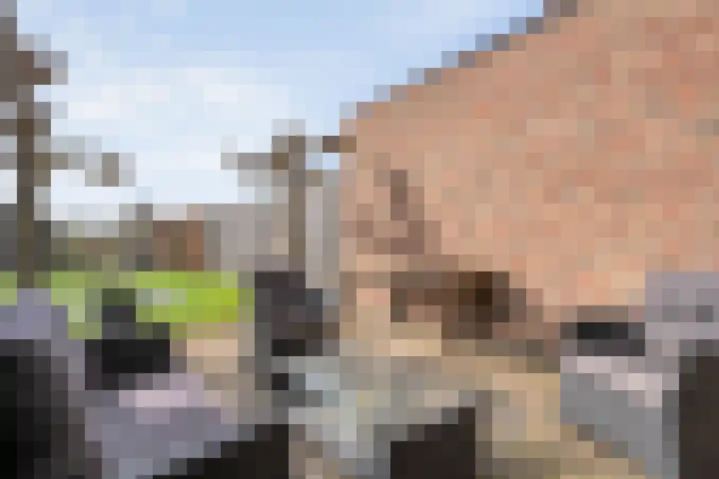 Mr. Harm Smeengeweg 16 Koekange thumbnail 30