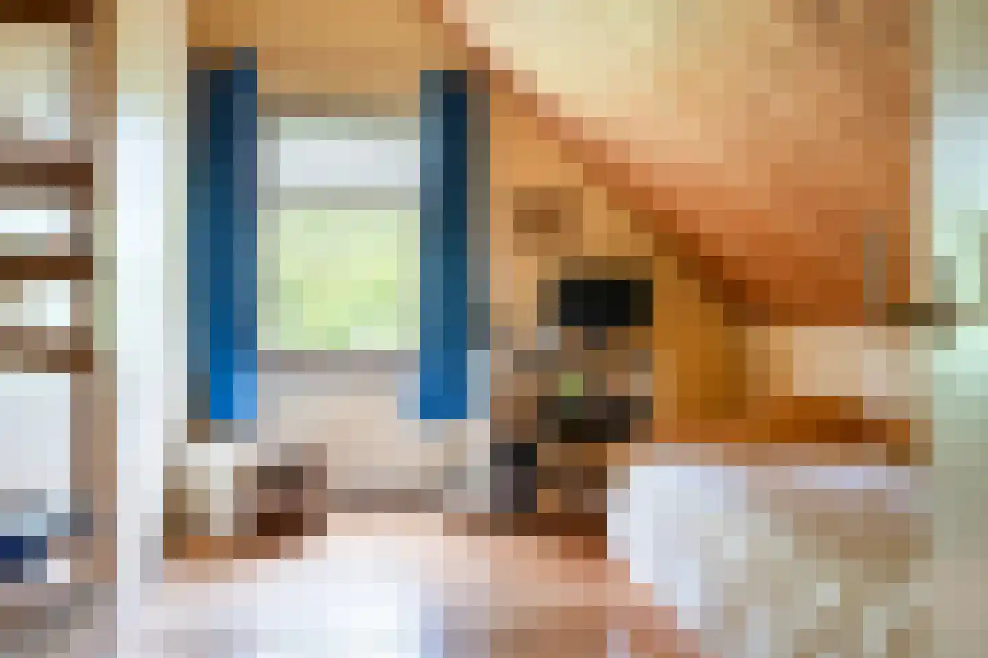 Mr. Harm Smeengeweg 19 Witteveen thumbnail 21