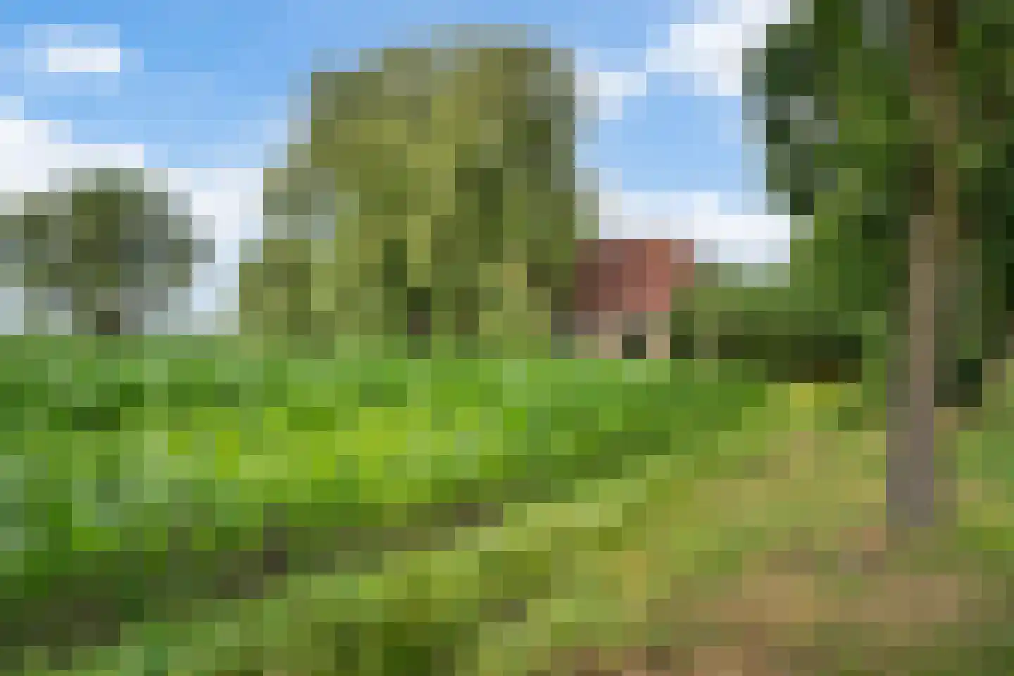 Mr. Harm Smeengeweg 19 Witteveen thumbnail 26