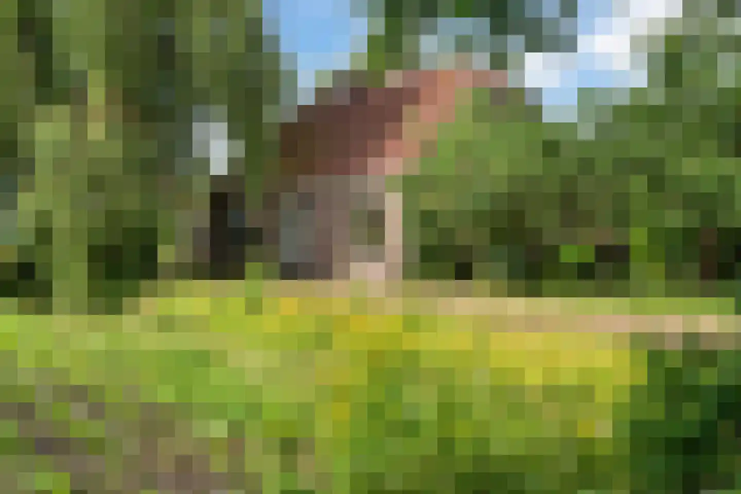Mr. Harm Smeengeweg 19 Witteveen thumbnail 27