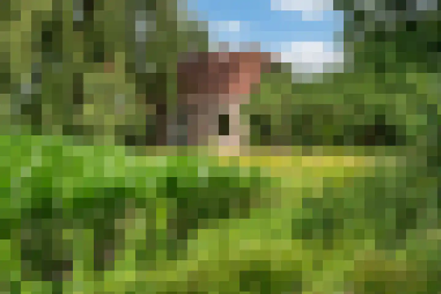 Mr. Harm Smeengeweg 19 Witteveen thumbnail 28