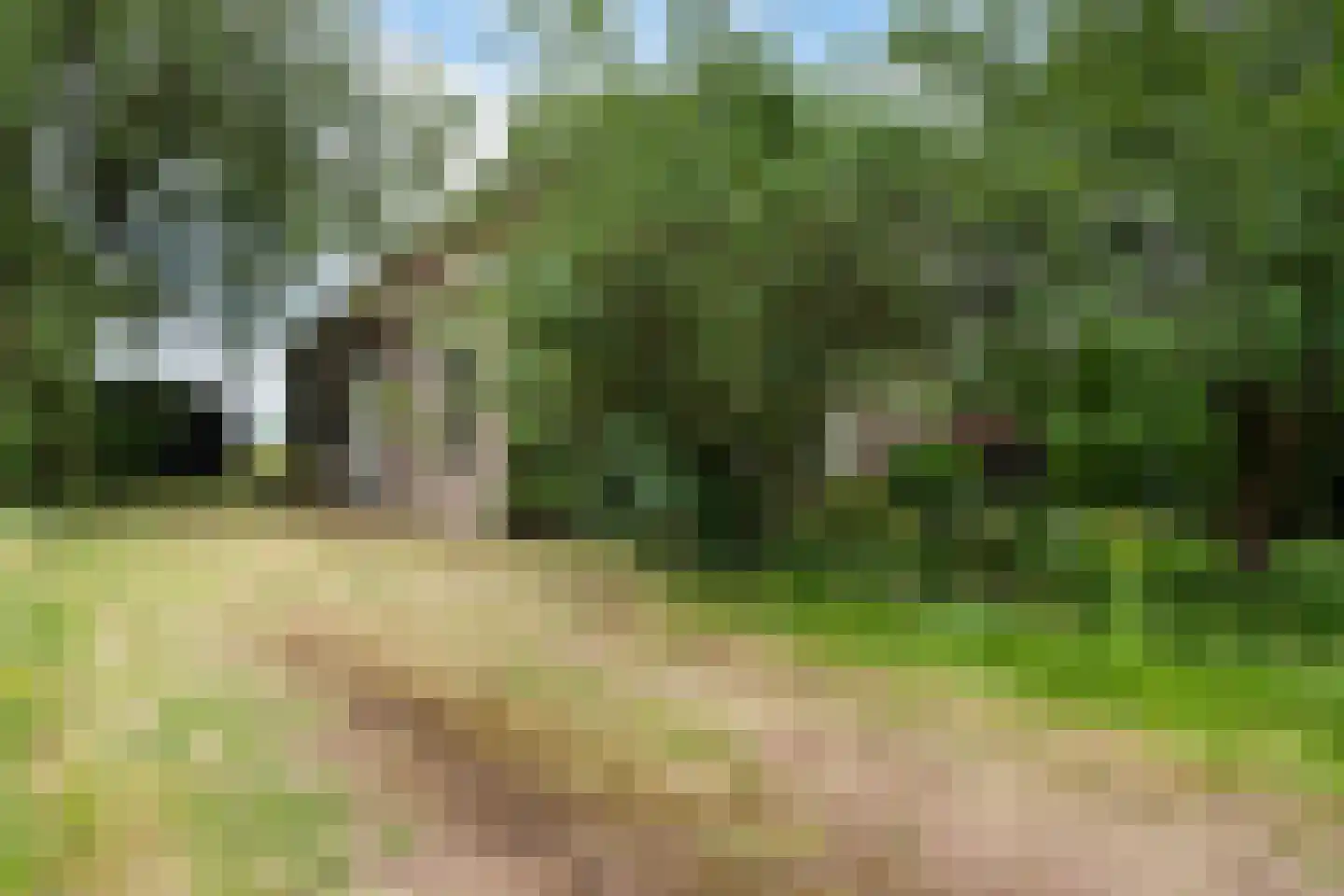 Mr. Harm Smeengeweg 19 Witteveen thumbnail 29