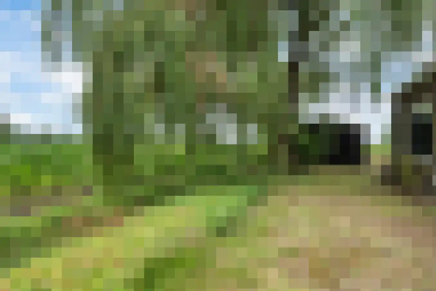 Mr. Harm Smeengeweg 19 Witteveen thumbnail 30