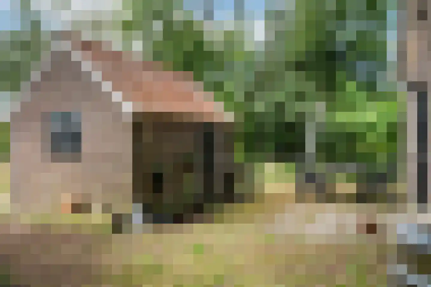 Mr. Harm Smeengeweg 19 Witteveen thumbnail 31