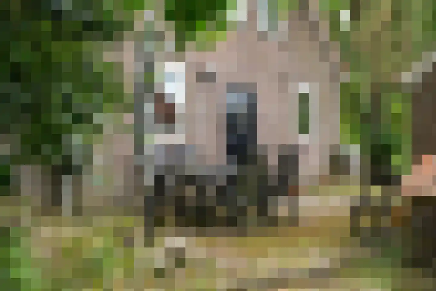 Mr. Harm Smeengeweg 19 Witteveen thumbnail 32