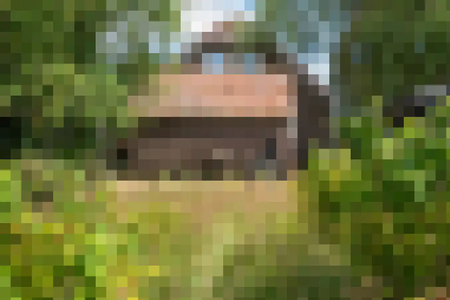 Mr. Harm Smeengeweg 19 Witteveen thumbnail 35