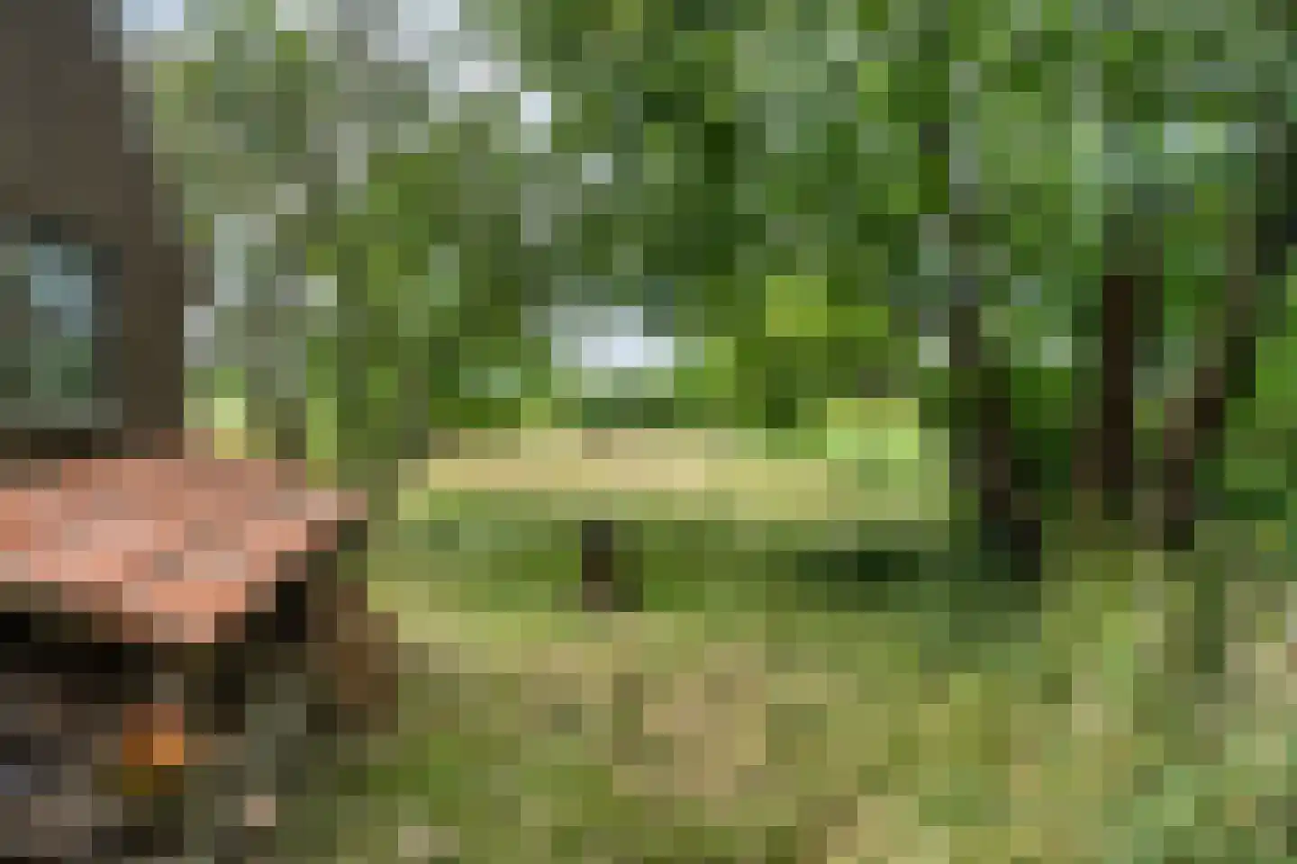 Mr. Harm Smeengeweg 19 Witteveen thumbnail 36