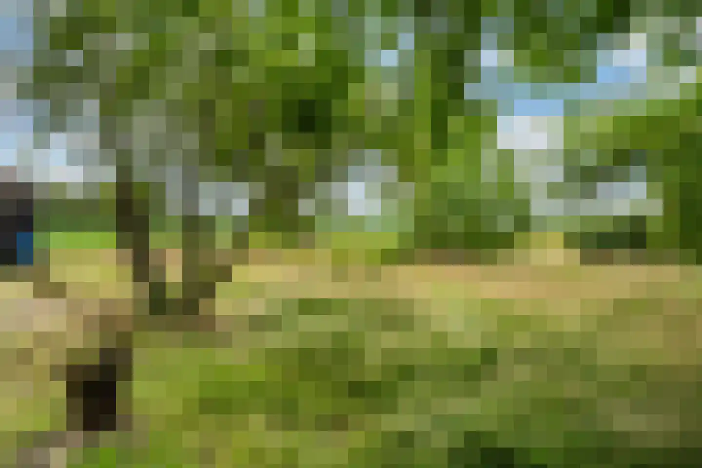 Mr. Harm Smeengeweg 19 Witteveen thumbnail 37