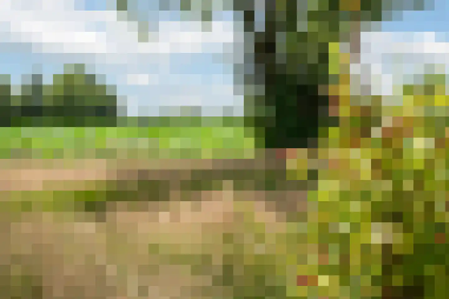 Mr. Harm Smeengeweg 19 Witteveen thumbnail 38