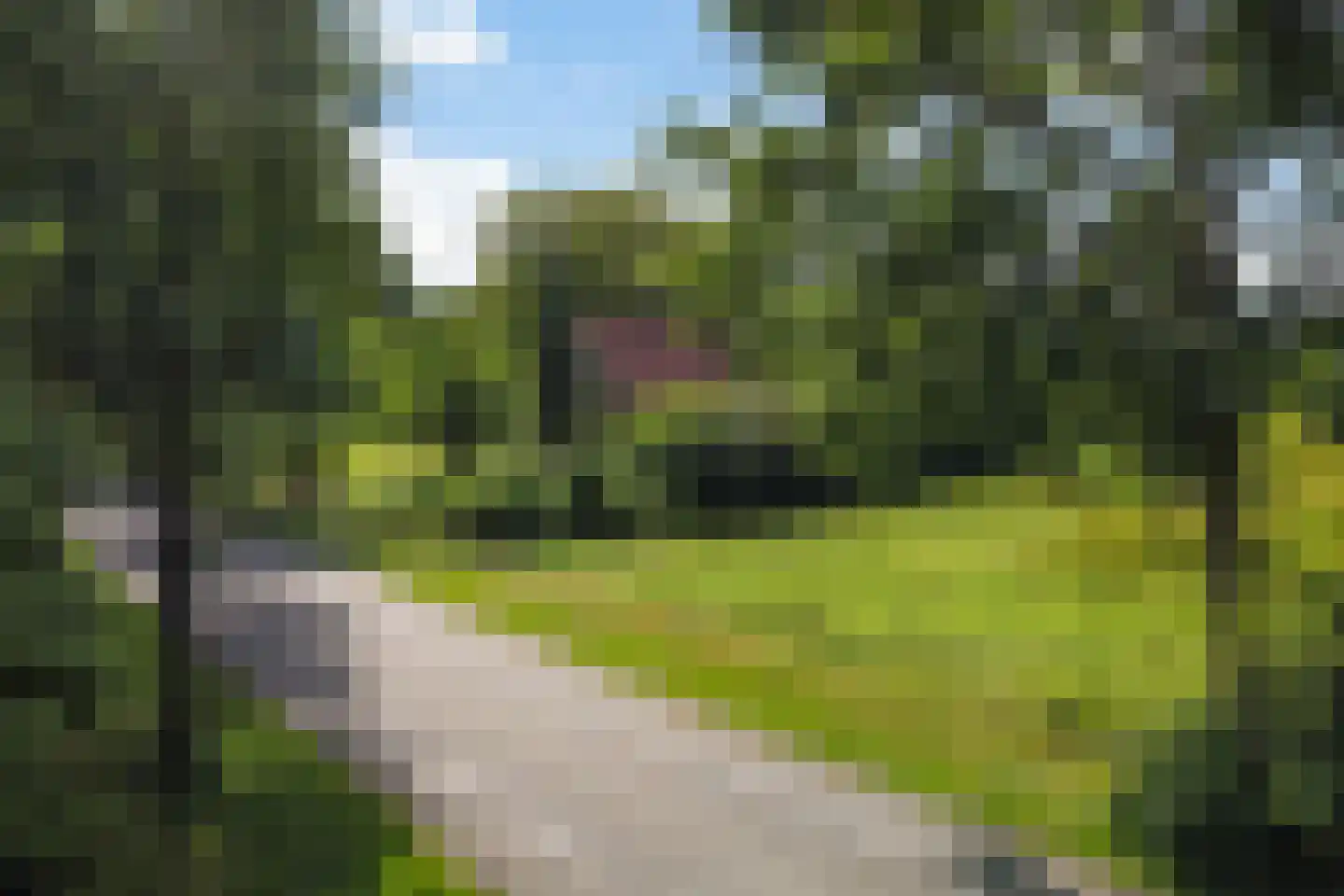 Mr. Harm Smeengeweg 19 Witteveen thumbnail 39