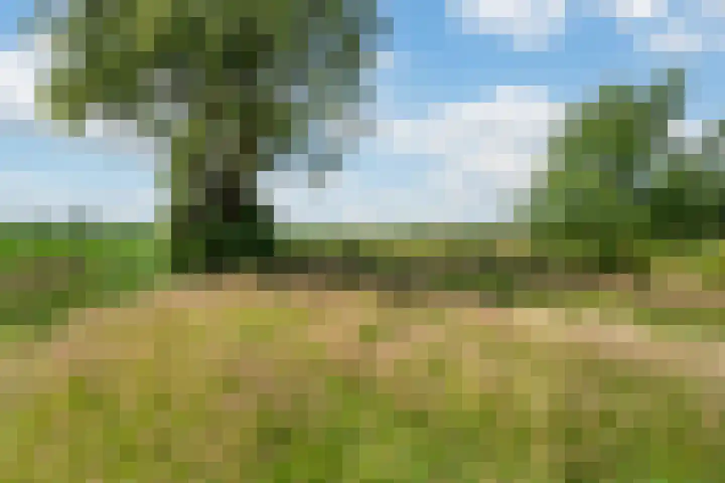 Mr. Harm Smeengeweg 19 Witteveen thumbnail 4