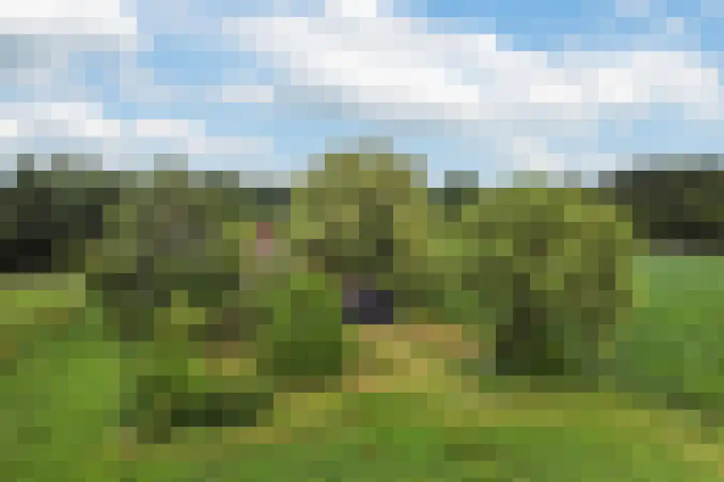 Mr. Harm Smeengeweg 19 Witteveen thumbnail 40