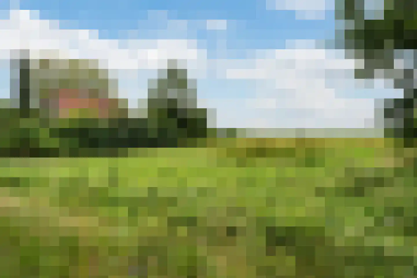 Mr. Harm Smeengeweg 19 Witteveen thumbnail 43