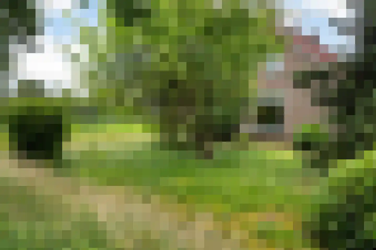 Mr. Harm Smeengeweg 19 Witteveen thumbnail 44