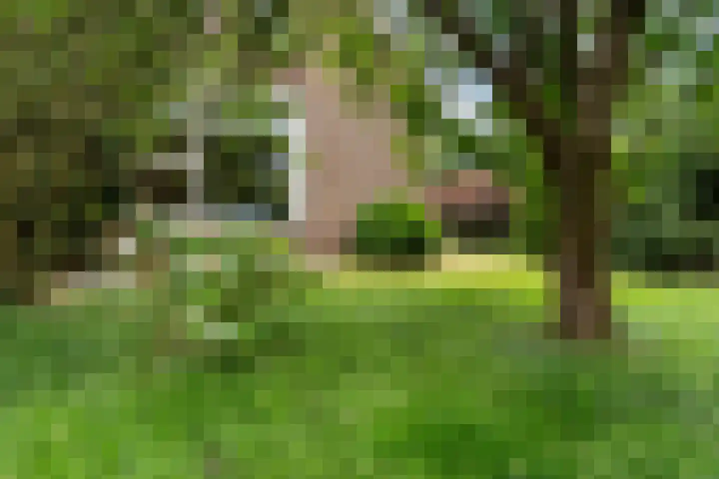 Mr. Harm Smeengeweg 19 Witteveen thumbnail 46