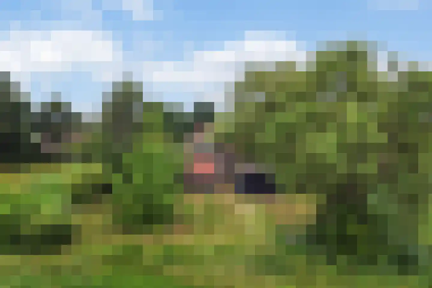 Mr. Harm Smeengeweg 19 Witteveen thumbnail 48