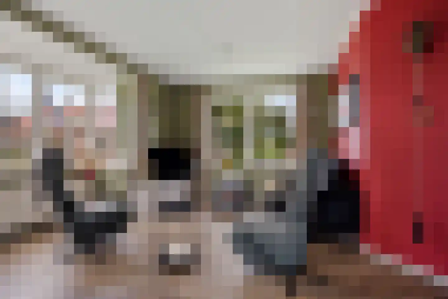 Mr. Harm Smeengeweg 2 Koekange thumbnail 11