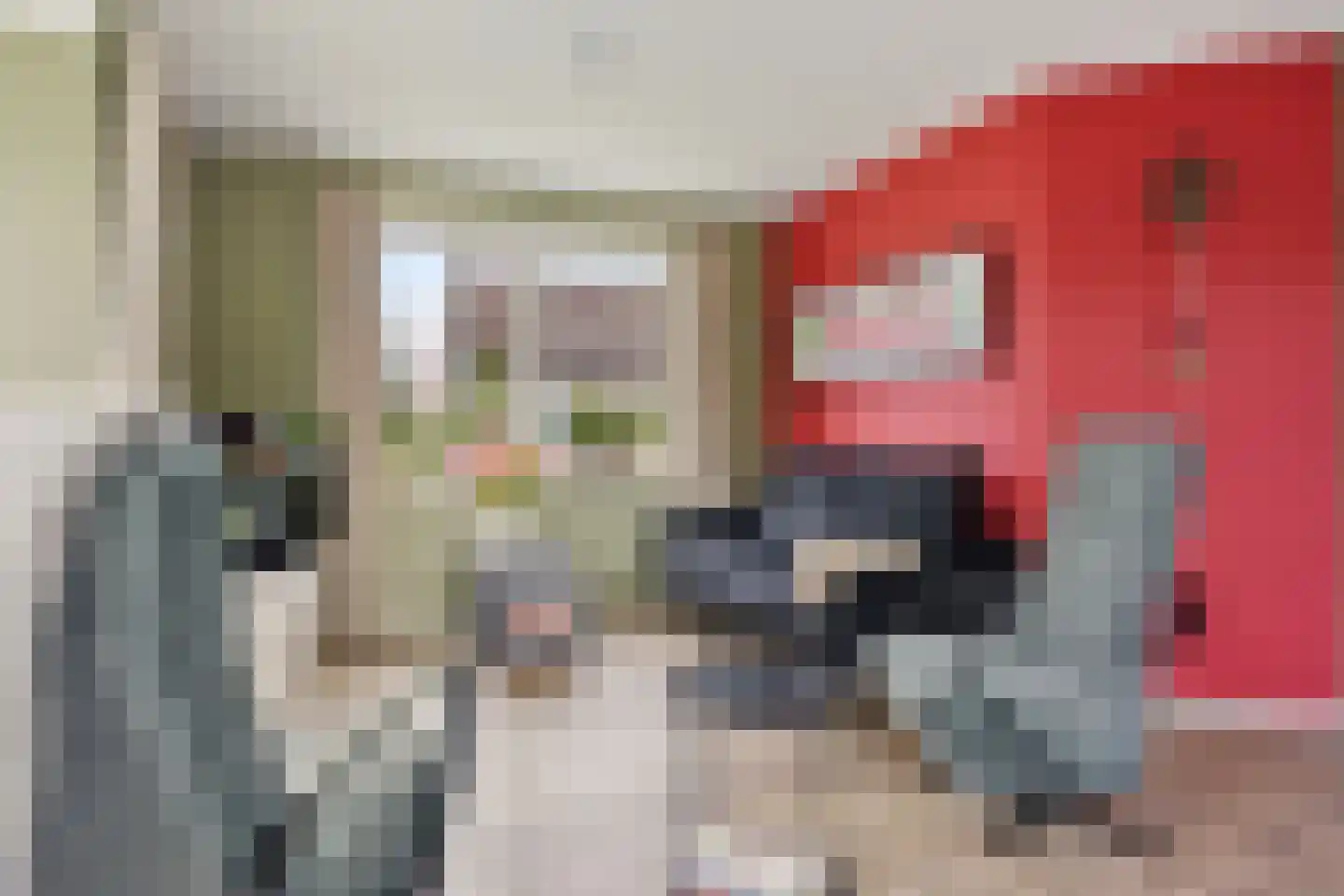 Mr. Harm Smeengeweg 2 Koekange thumbnail 12
