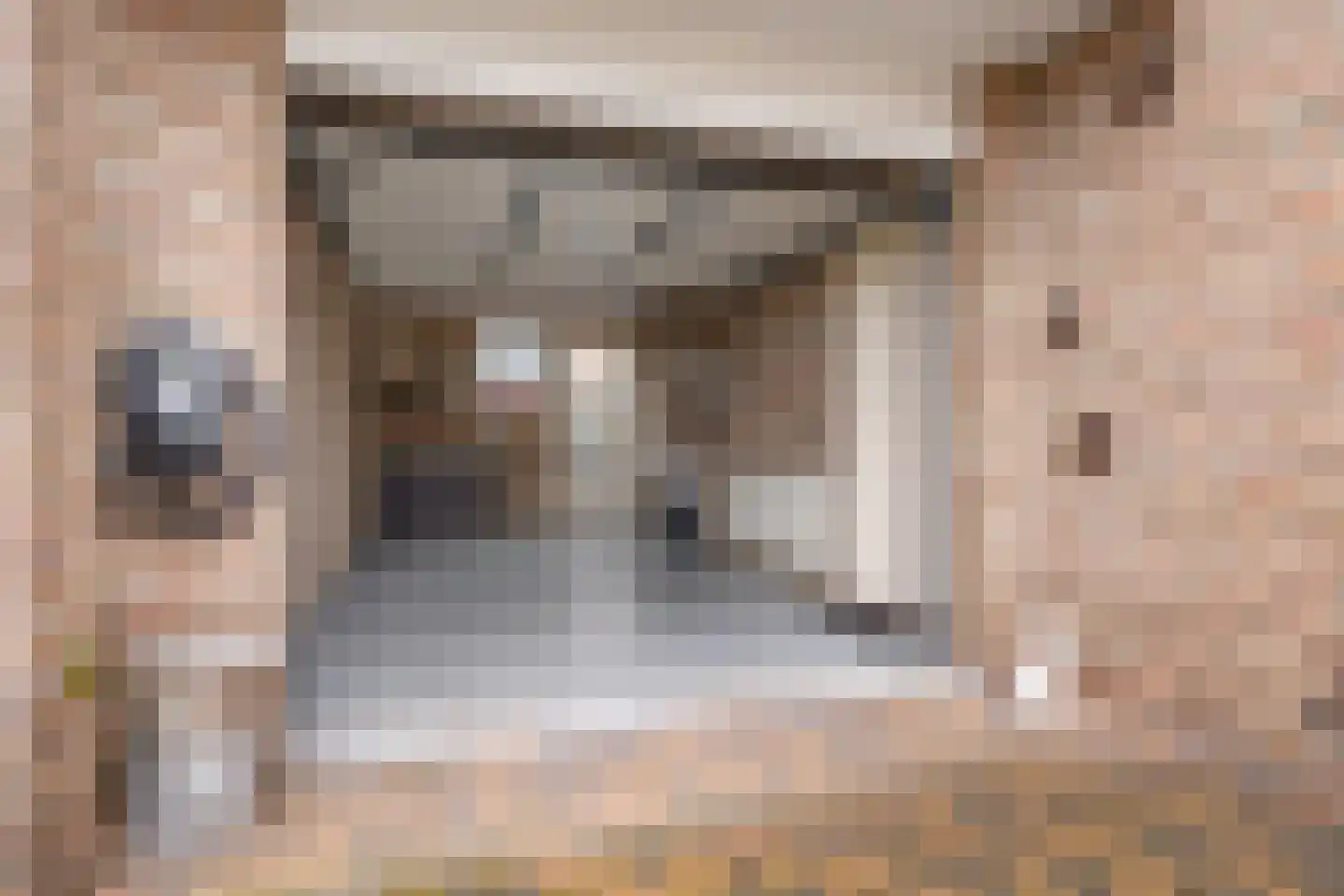Mr. Harm Smeengeweg 2 Koekange thumbnail 35
