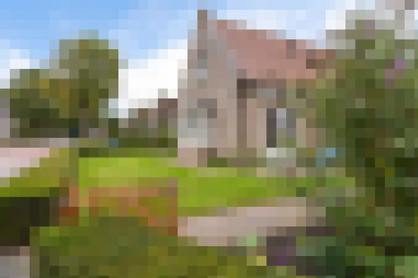 Mr. Harm Smeengeweg 2 Koekange thumbnail 37