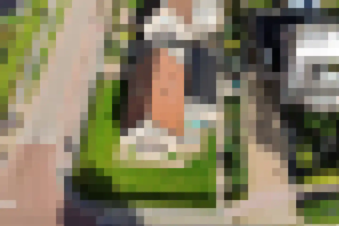 Mr. Harm Smeengeweg 2 Koekange thumbnail 39