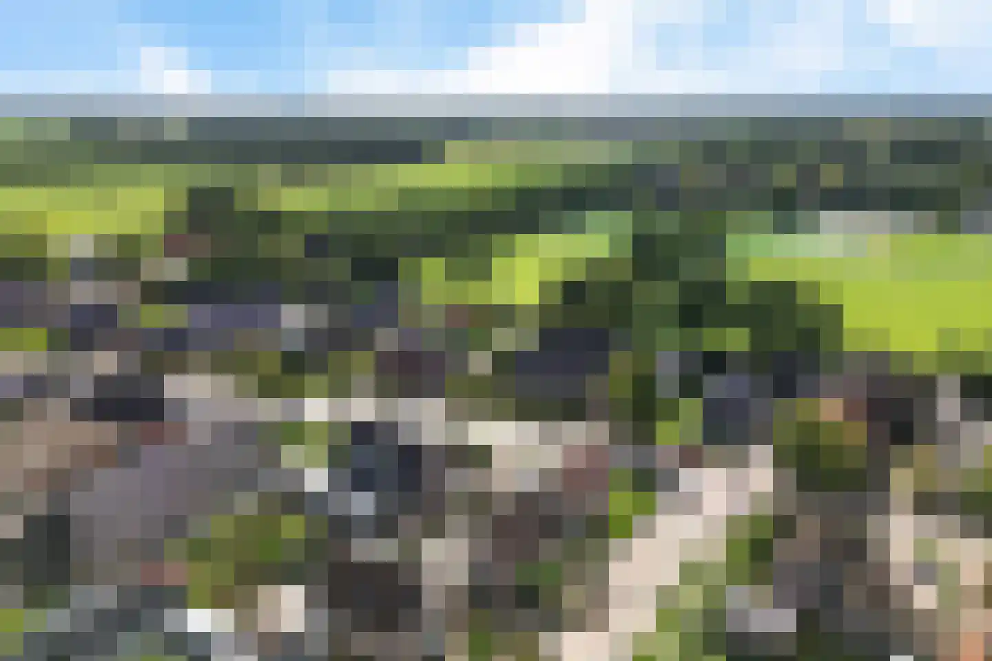 Mr. Harm Smeengeweg 2 Koekange thumbnail 41