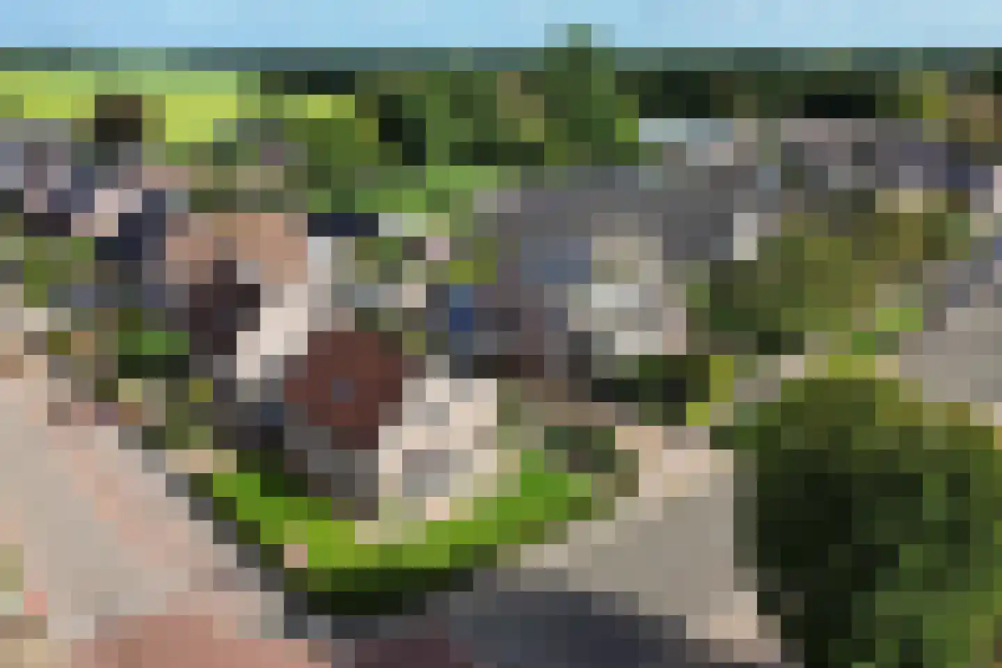 Mr. Harm Smeengeweg 2 Koekange thumbnail 44